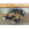 Faisceau électrique Kawasaki Z750 2007-2012