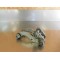 Patte de fixation moteur KTM 250/300 EXC 2008-2011