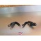 Cales pied + supports BMW F 650 ST