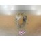 Renfort de garde boue avant BMW F 650 ST