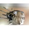 Bas moteur complet BMW F 650 ST 