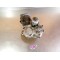 Moteur 100 BMA