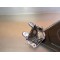 Triangle de suspension avant BMW 1100 RT
