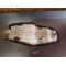 Selle Honda 125 NSR 1992-2003
