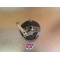 Tambour de frein avant Yamaha 250 YZ 1979