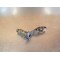 Commande d'embrayage KTM 250/300 EXC 1997-1998