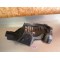 Garde boue avant droit TGB 400/425 Blade