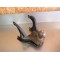 Attelage TGB 400/425 Blade