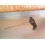 Système ouverture de selle TGB 400/425 Blade