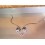 Clignotants avant TGB 400/425 Blade
