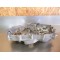 Carter gauche TGB 400/425 Blade