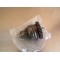 Pignon roue libre Can Am 400 Outlander 2005-2013