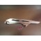 Protection de chaine Suzuki GSF 1200 BANDIT 2001-2005