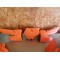 Kit plastique KTM SX 125/200/250 2003-2004