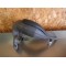Pot échappement neuf Yamaha DT RE 125 2004-2006 