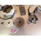 Kit allumage complet HM avec éclairage Honda 250 CR 1986-2001