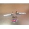 Cales pied Yamaha 600 FZ6