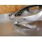 Cadre + carte grise Yamaha 600 FZ6 2005 
