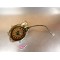 Couvercle + stator allumage Yamaha 600 FZ6