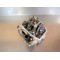 Culasse complète + arbre a came Can-Am Bombardier 400 Outlander