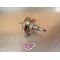 Vilebrequin Honda 250 CRF 2010-2011 