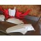 Kit plastique Honda 250 CRF 2010