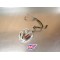 Stator allumage Yamaha 125 DTMX