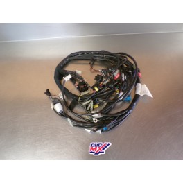 Faisceau &eacute;lectrique neuf Gas Gas 450 FSR 2007 MFS450780104