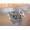 Carters moteur neuf GasGas 125 EC 2001-2010 ME120110000