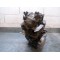 Moteur complet Suzuki 250 DR Type SJ41A 1982-1989