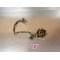 Stator allumage GasGas 250/300 2000-2004