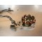 Stator allumage GasGas 250/300 2000-2004