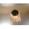 Couvercle allumage neuf origine Kawasaki ZX500/600 1985-1989 14025-1709