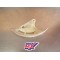 Protège disque de frein arrière Honda 250 CRF 2004-2009