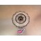 Embrayage complet Kawasaki 300 KLX