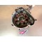 Stator allumage Kawasaki 300 KLX