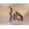Durites de refroidissement Kawasaki 300 KLX