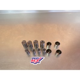 Kit ressorts de soupapes + couvercles Kawasaki 300 KLX