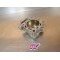 Cylindre HS Honda 250 CRF 2004-2009 