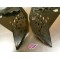 Ouïes de radiateur KTM 125/250/300 EXC/SX 07-10