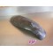 Bavette Suzuki 600 DR