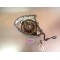Stator allumage + carter Suzuki 600 DR