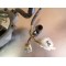 Stator allumage + carter Suzuki 600 DR