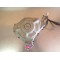 Stator allumage + carter Suzuki 600 DR