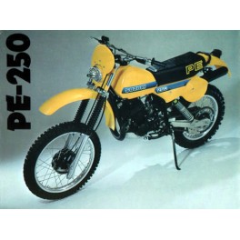 SUZUKI 250 PE