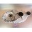 Carter intérieur variateur TGB 550 BLADE SE FI