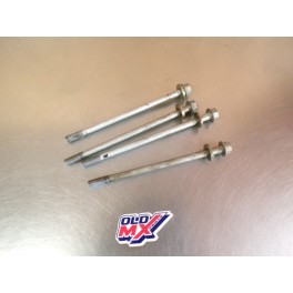 Vis culasse TGB 550 BLADE SE FI