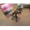 Kit condensateurs + rupteur Honda 125 CBS