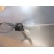 Support de plaque d'immatriculation TGB 550 BLADE SE FI