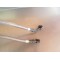 Radiateur d'huile TGB 550 BLADE SE FI